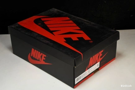 Jordan High OG DZ5485-105 1 “Mauve” 0929